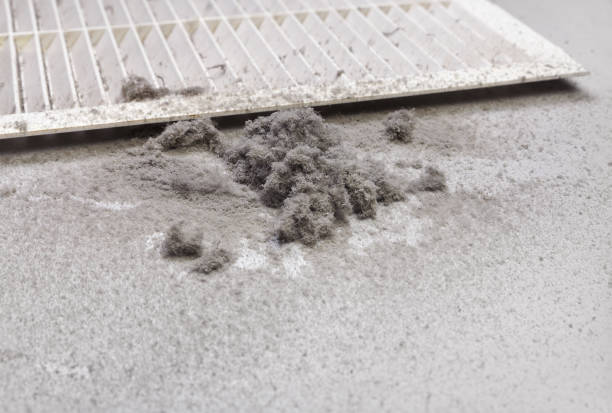Best Residential Air Duct Cleaning  in Sulligent, AL
