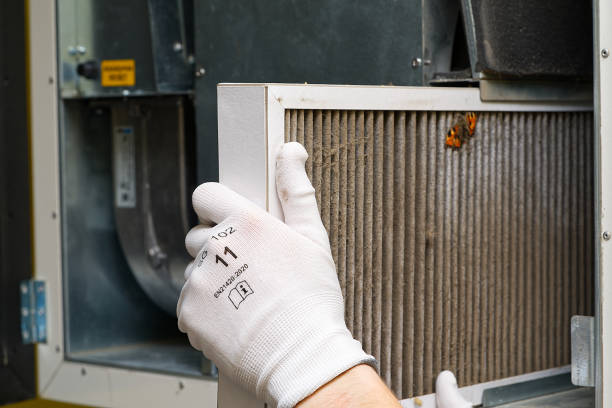 Best Home Air Vent Cleaning  in Sulligent, AL