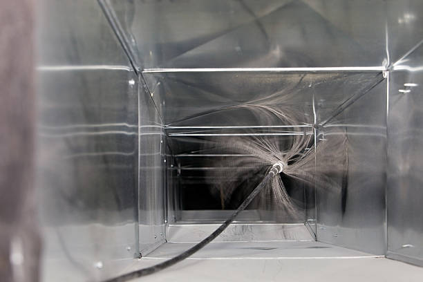Best Professional Duct Cleaning Services  in Sulligent, AL